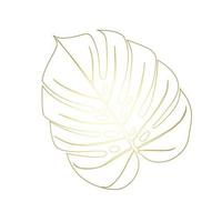 Monstera Deliciosa plant leaf from tropical forests isolated. Vector for greeting cards, flyers, invitations, web design