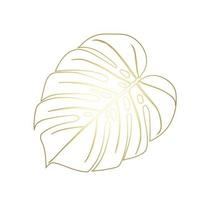 Hoja de planta de monstera deliciosa de bosques tropicales aislada. vector para tarjetas de felicitación, volantes, invitaciones, diseño web