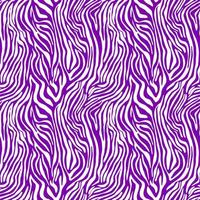 Vector animal print. Zebra ornament. Seamless pattern