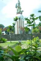 a small plant that grows wild in the middle of the city photo