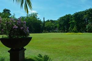 vista al jardín con hermosas plantas y nubes foto