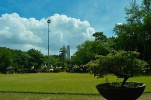 vista al jardín con hermosas plantas y nubes foto