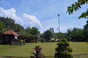 garden view with beautiful plants and clouds photo