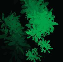 green leaves on black background vector