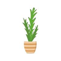 House plant in pot.  Illustration for printing, backgrounds, covers, packaging, greeting cards, posters, stickers, textile and seasonal design. Isolated on white background. vector