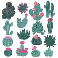 Collection of cacti isolated on white background. Vector graphics.