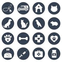 Set of icons for veterinary medicine vector