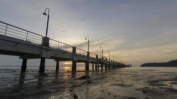 la creatura del mare timelapse si sposta sulla costa nella mattina di alba video