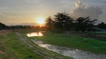 Dirty river near the village at Penang. video