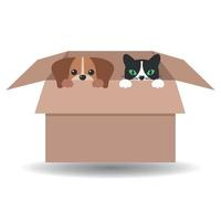 ilustración de lindo perro y gato en una caja con sombra vector