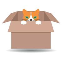 ilustración de un lindo gato jengibre en una caja vector