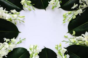 flores de orquídeas blancas puestas en hojas de árboles de caucho para el concepto de fotografía de flor de primavera. foto