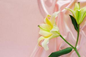 Elegant wavy and smooth pink satin cloth texture background with lily flowers. photo