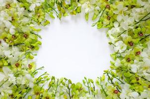 Green orchid flowers put on white background for spring blossom photo concept.