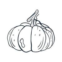 Pumpkin line art . Vector illustration with doodles on the theme of cozy autumn.A cute element for greeting cards, posters, stickers and seasonal design. Isolated on a white background.