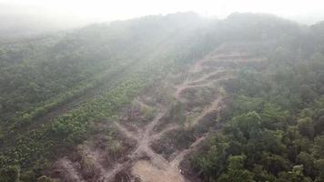 Deforestation take place for development.