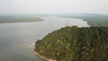 scivolando sulla collina con un albero solitario e alto su sungai merbok, kedah. video