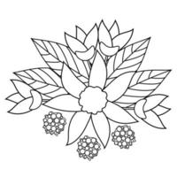 Hand Draw Flower Drawing in Black and White for Adult Coloring Book. vector