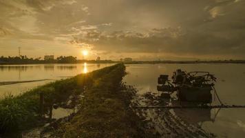 Timelaps silhouette tractor in the paddy field from day to night. video