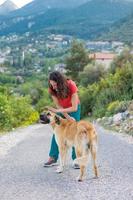 A woman walks shepherd dog photo