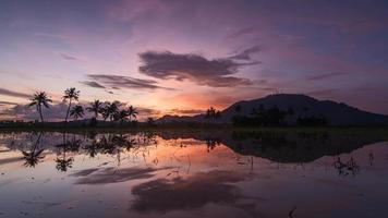 timelapse alba nuvola colorata e cielo con fila di cocco video