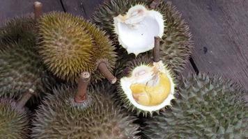 fruta durian en malasia. rey de la fruta video