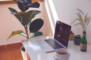 Freelancer workplace, laptop, coffee cup and potted plant on white table photo
