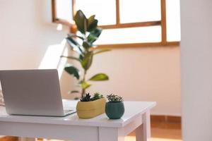 lugar de trabajo independiente, computadora portátil y planta en maceta en mesa blanca foto