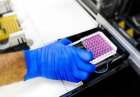 Scientist set Enzyme Linked Immunosorbent Assay or ELISA plate for taking optical density. photo