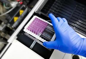 Scientist set Enzyme Linked Immunosorbent Assay or ELISA plate for taking optical density. photo
