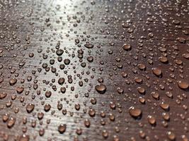 Many drops of water on a dark tree photo