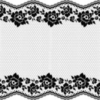 Vertical Seamless pattern lace. vector