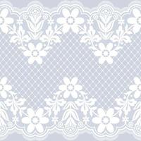 Lace seamless pattern with flowers vector