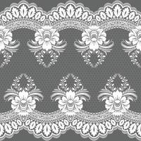 Vertical Seamless pattern lace. vector