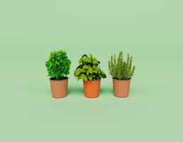 3d render of Interior Plants isolated on Pastel background, 3d background minimal scene photo