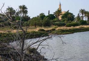 Hala Sultan Tekke Mosque on Salt lake, Larnaca, Cyprus photo