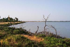 lago salado de larnaca con mezquita hala sultan tekke en la distancia en chipre foto