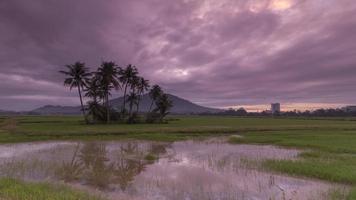 Time lapse cloudy weather at coconut trees video
