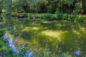 el pantano de poitevin foto