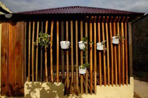 wooden house and flowerpot photo