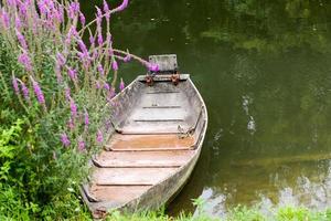 the poitevin marsh photo