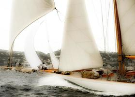 sailing boat race photo