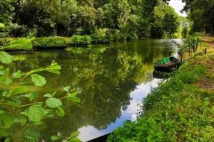 the poitevin marsh photo