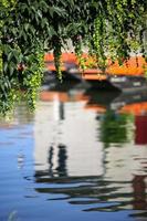 the poitevin marsh photo