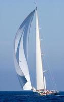 sailing boat race photo