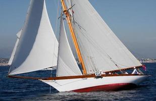 sailing boat race photo