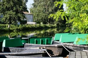 el pantano de poitevin foto