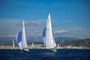 sailing boat race photo