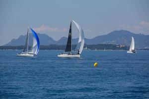 sailing boat race photo