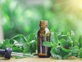 el extracto de menta en una botella pequeña cerca de la hoja de menta sobre una mesa de madera. el aceite esencial que cae del gotero de vidrio a la medicina bio alternativa orgánica, botella marrón. foto